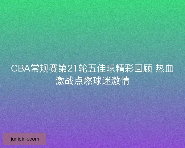 CBA常规赛第21轮五佳球精彩回顾 热血激战点燃球迷激情